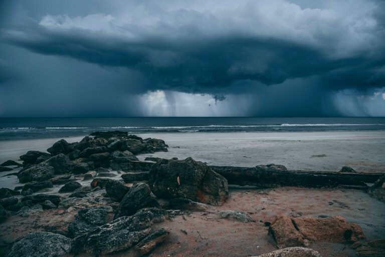 pexels connorscottmcmanus 14920358